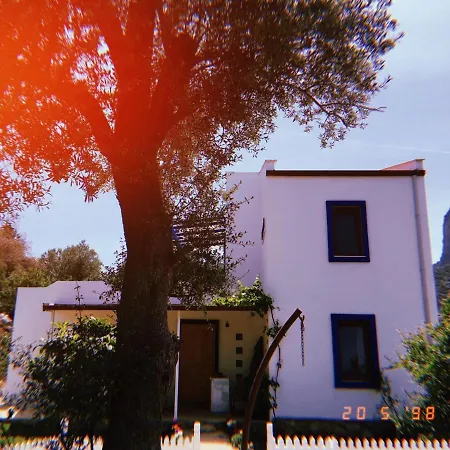 Artolive Vakantieboerderij Datça