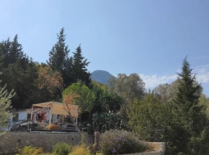 Vakantieboerderij Artolive *