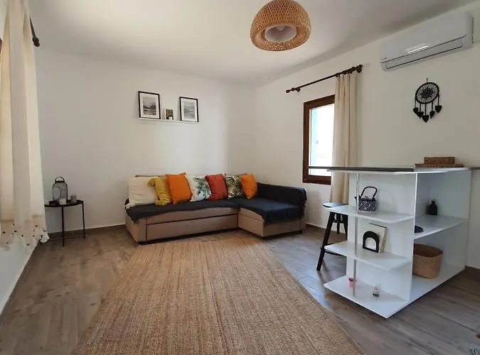 Artolive * Датча