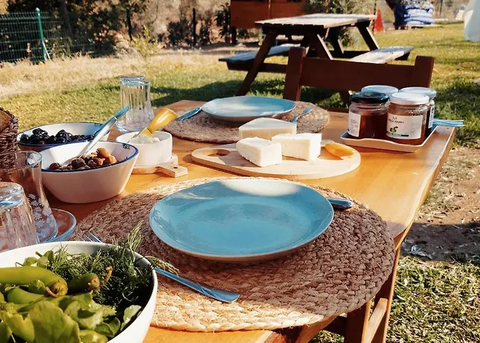 Vakantieboerderij Artolive Datça