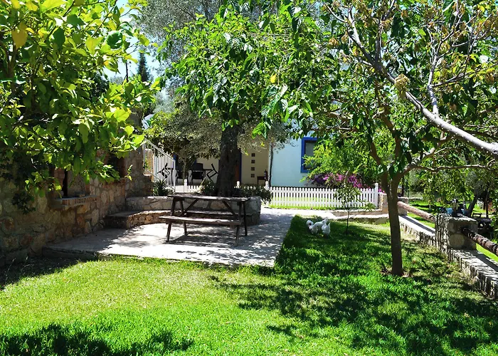 Artolive Фермерский дом