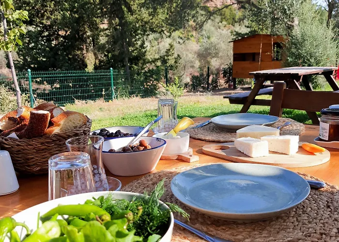 Vakantieboerderij Artolive *