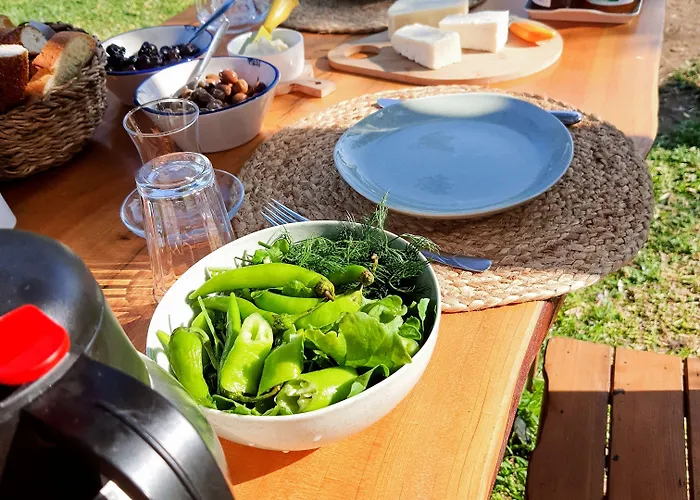 Vakantieboerderij Artolive