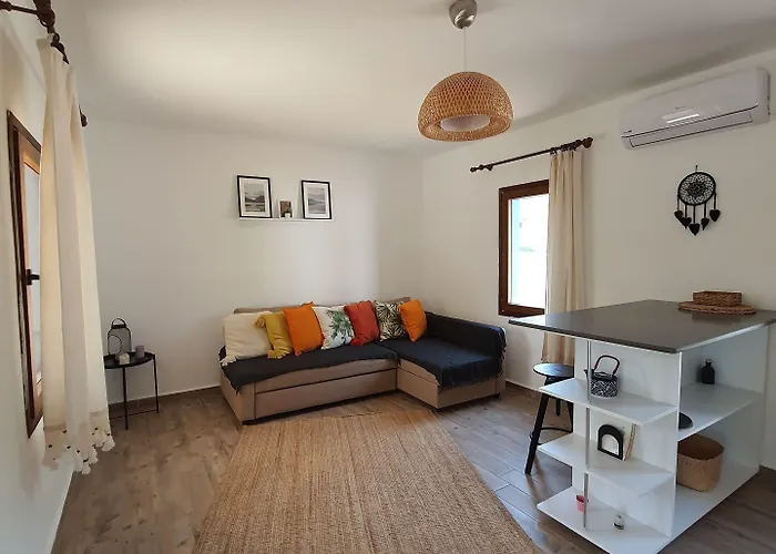 Artolive * Датча