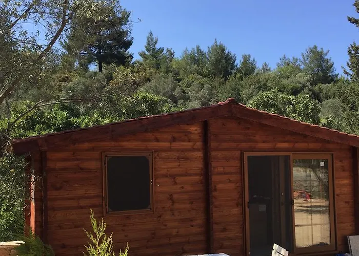 Vakantieboerderij Artolive *