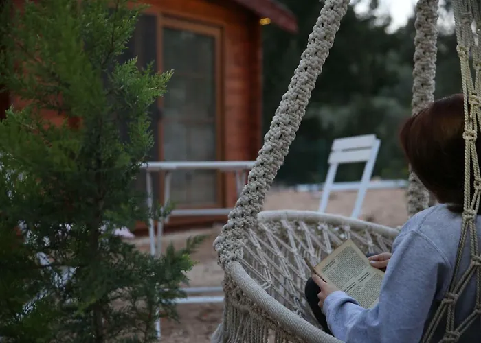 Artolive Vakantieboerderij Datça