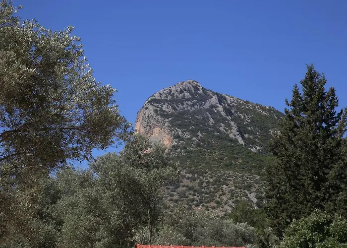 Artolive Vakantieboerderij