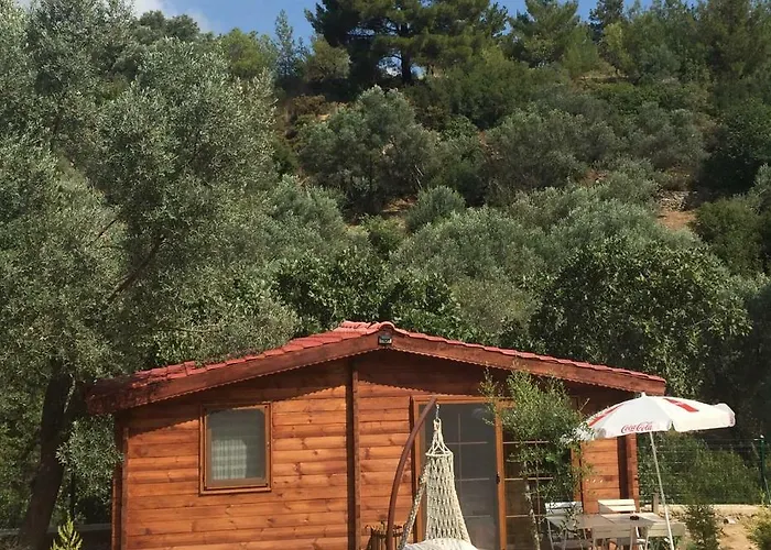 Artolive Vakantieboerderij