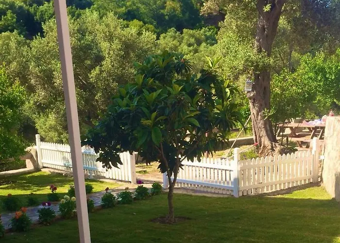 Artolive * Датча