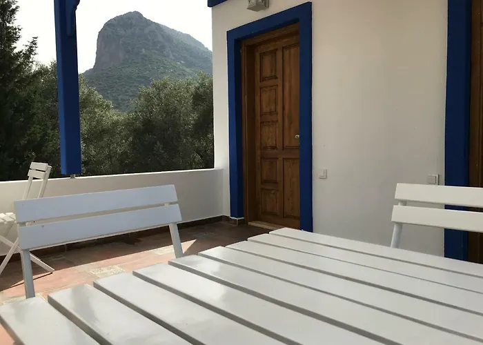 Artolive Vakantieboerderij Datça