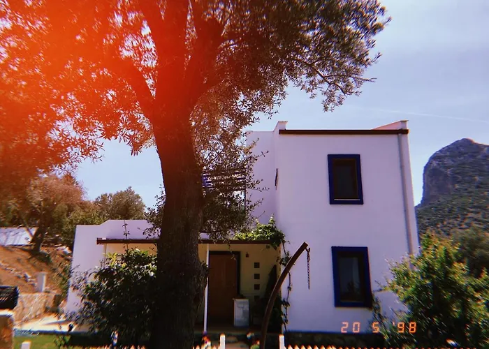 Artolive Vakantieboerderij Datça