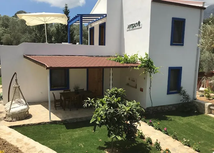 Artolive * Датча