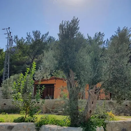 Farm stay Artolive Datca