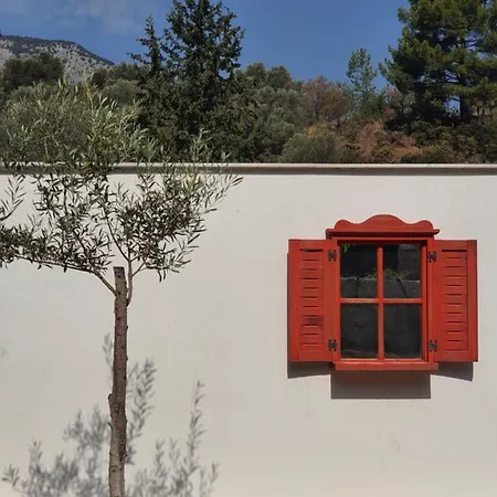 Farm stay Artolive Datca