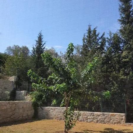 Farm stay Artolive *