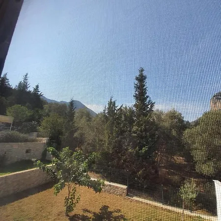 Farm stay Artolive *