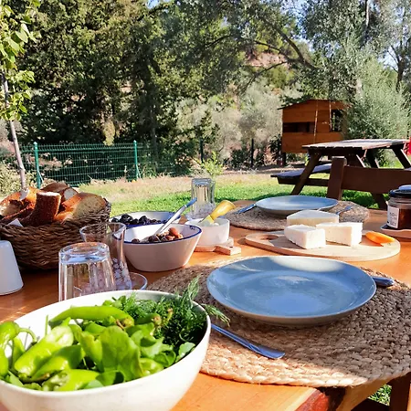 Farm stay Artolive *