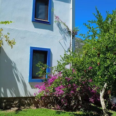 Farm stay Artolive Datca