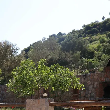 Artolive Farm stay Datca