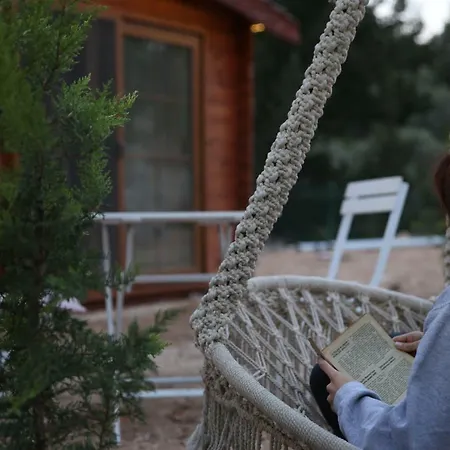 Artolive Farm stay Datca