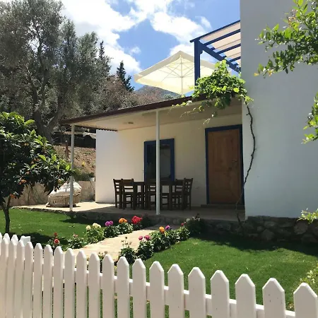 Artolive Farm stay *