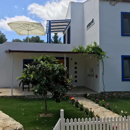 Artolive Farm stay *