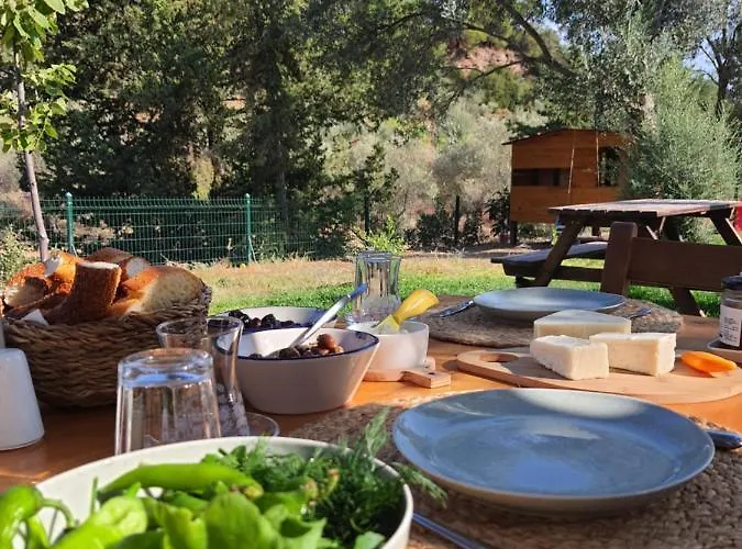 Farm stay Artolive Datca