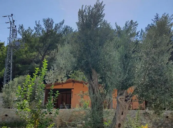 Farm stay Artolive Datca