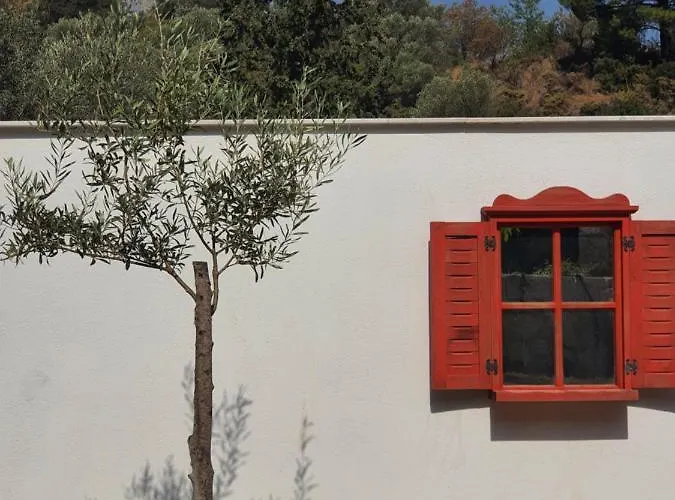 Farm stay Artolive Datca