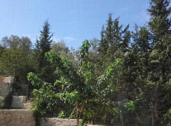 Farm stay Artolive *