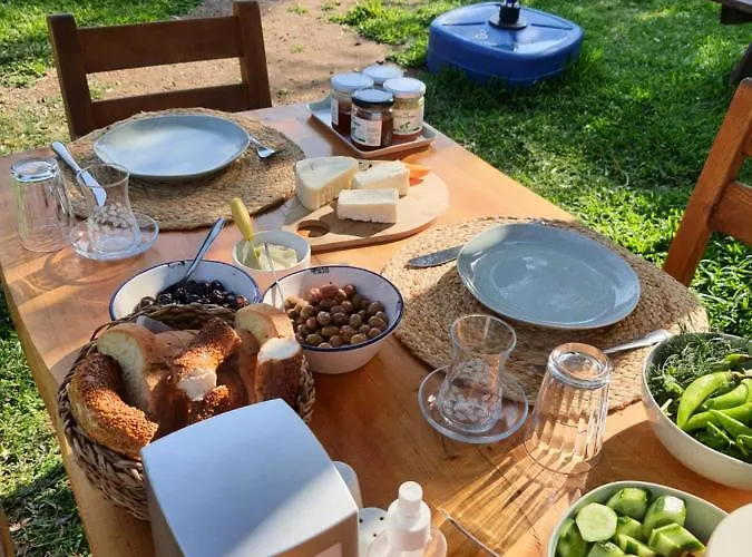 Artolive Farm stay Datca