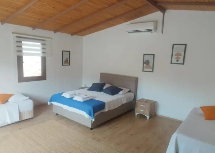 Artolive Farmház Datça