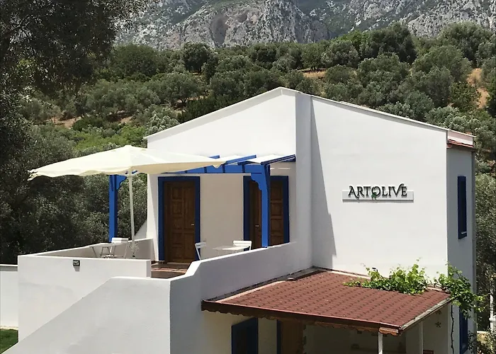 Artolive Datça