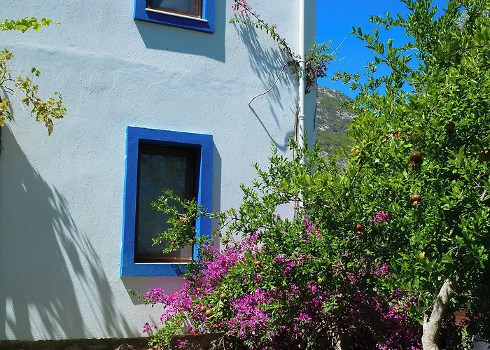 Farm stay Artolive Datca