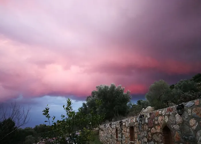 Artolive Farm stay Datca