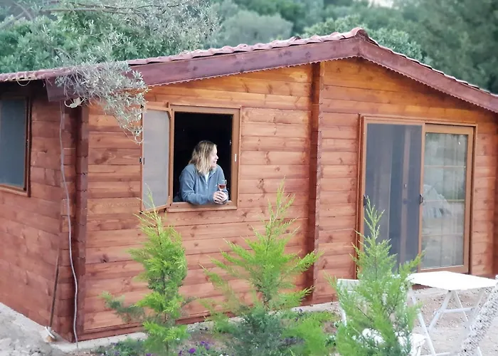 Farm stay Artolive *