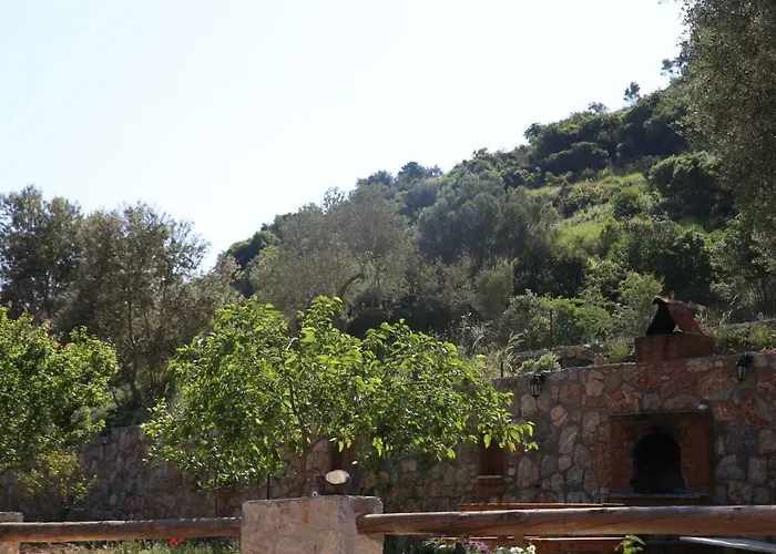 Artolive Farm stay Datca